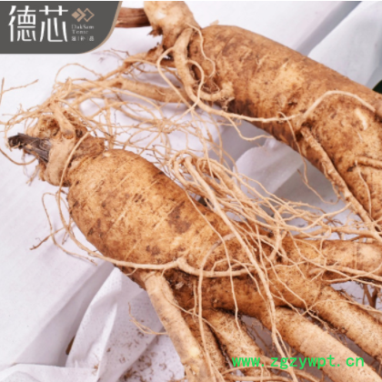 【四支鲜人参】东北长白山现挖 新鲜人参园带土鲜参山参煲汤泡酒图3