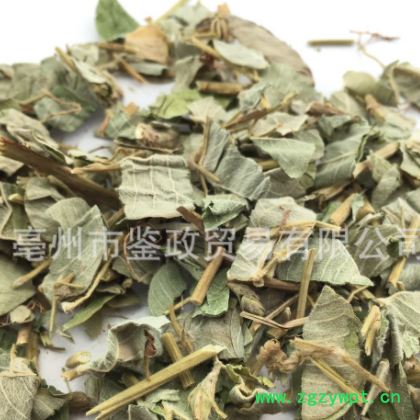 批发广东中草药 金钱草 散装 大叶金钱草 粉原料O图2