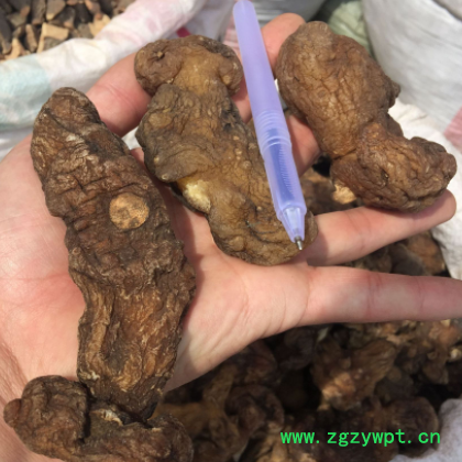 产地货源批发黄精散装 生黄精 黄精片 黄精个鸡头黄精 姜黄精个M图3