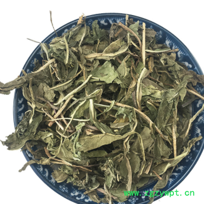 批发蒲公英 草药整株 散装 蒲公英 干婆婆丁N图3