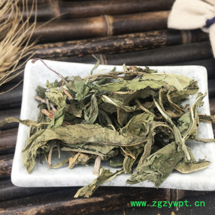 批发蒲公英 草药整株 散装 蒲公英 干婆婆丁N图2