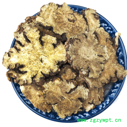 批发 川芎 大货直供 川穹 抚芎四物汤原料 川芎片粉原料D图3