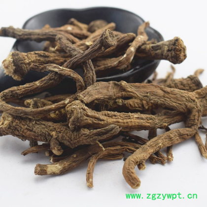 批发 蒲公英根 各种规格 干婆婆丁根 公英根 公映根 浦公英根J图2