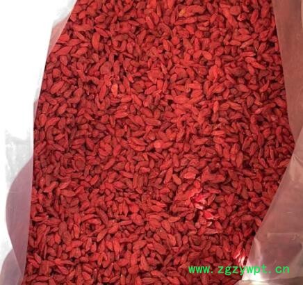 宁夏枸杞子特级中宁头茬大颗粒500g构杞干泡茶红苟杞纪黑男图2