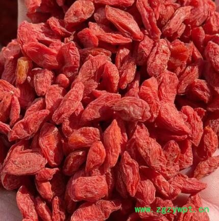厂家直销红枸杞每箱40斤装240粒枸杞散装批发新货宁夏枸杞