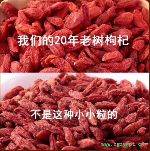 2021枸杞子宁夏中宁250g枸杞袋装特级特优级批发苟杞