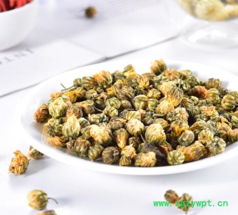 菊花茶胎菊头采100g罐装桐乡宗杭白菊花茶贡菊花