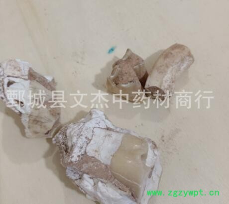 龙齿 白龙齿 实物拍摄现货批发【文杰中药材】图2