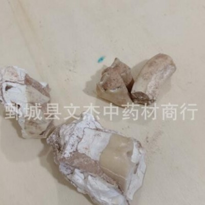 龙齿 白龙齿 实物拍摄现货批发【文杰中药材】