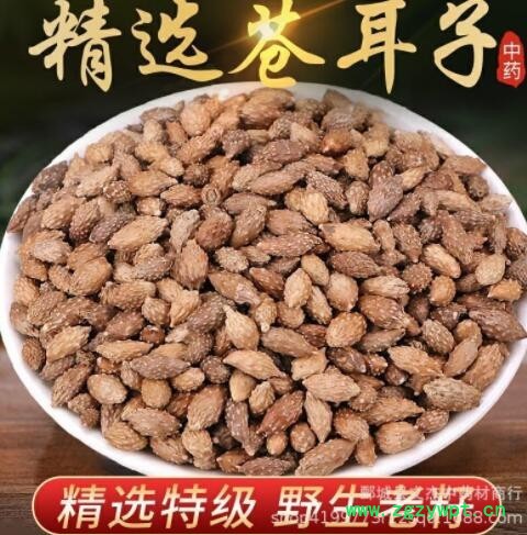 苍耳子新货 精选苍耳子现货批发【文杰中药材】图3