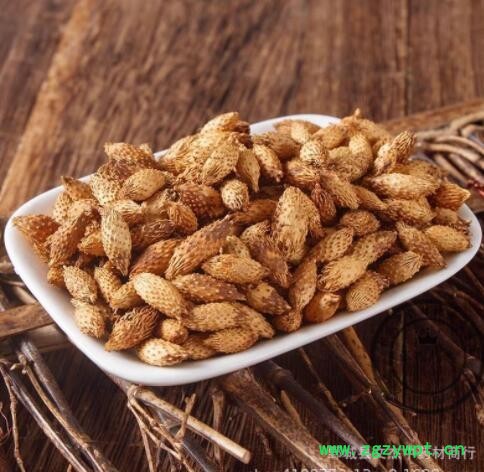 苍耳子新货 精选苍耳子现货批发【文杰中药材】图2