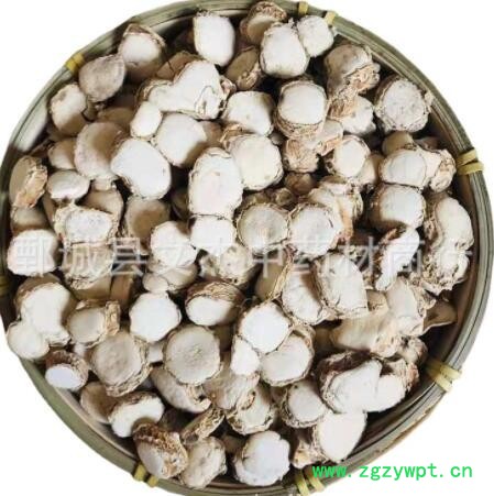 山奈 三奈 现货批发新货供应【文杰中药材】