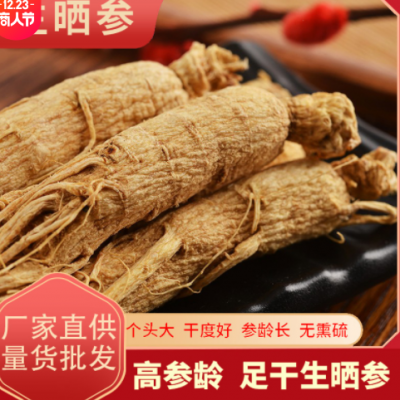 长白山生晒参足干 原皮高龄白参大支生晒参500克量货批发