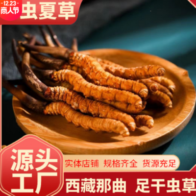 冻干西藏虫草那曲冬虫夏草批发礼盒装足干滋补礼品无断草一克2条