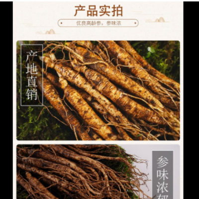 长白山人参 吉林鲜参 园参种 植 产地大鲜参 笨参