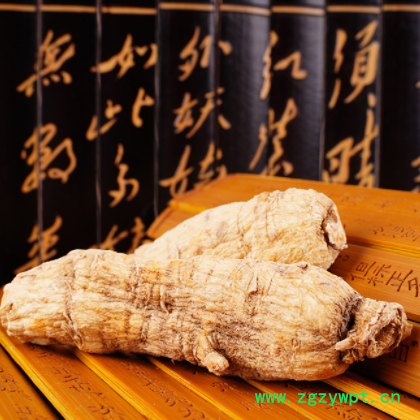 西洋参粒头 花旗参头软质支头长白山修剪西洋参大头 颗粒产地直销图2