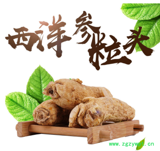 西洋参粒头 花旗参头软质支头长白山修剪西洋参大头 颗粒产地直销