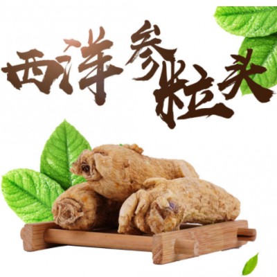 西洋参粒头 花旗参头软质支头长白山修剪西洋参大头 颗粒产地直销