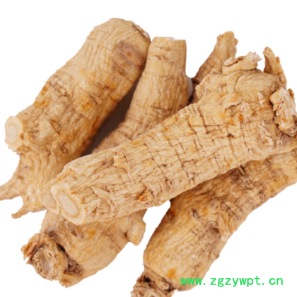 西洋参粒头 花旗参头软质支头长白山修剪西洋参大头 颗粒产地直销图3