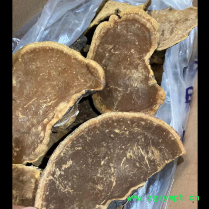 产地货源桑黄散装批发销售桑树桑黄灵芝可切片传统中药材图3