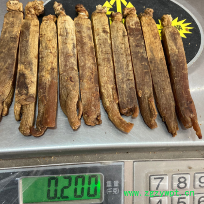 高丽参黄马褂 6年根黄皮别直参红参整支 老皮高丽参大量批发图3