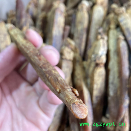 高丽参黄马褂 6年根黄皮别直参红参整支 老皮高丽参大量批发图2