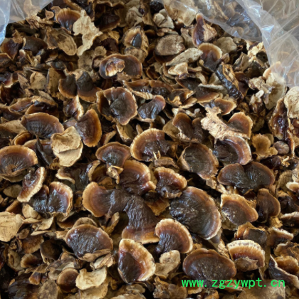 批发金边灵芝 长白山灵芝  整支灵芝500克/件 林芝切片一斤图3