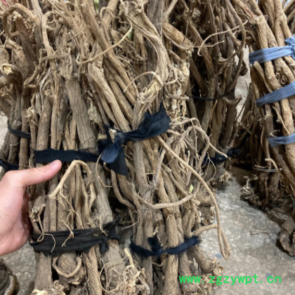 整支黄芪 特大北黄芪不是种植的500克图3