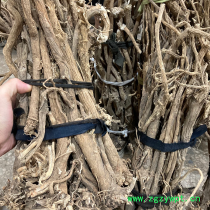 整支黄芪 特大北黄芪不是种植的500克图2