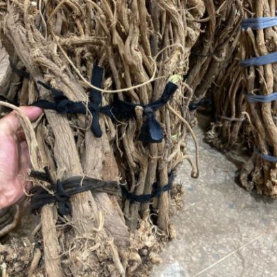 整支黄芪 特大北黄芪不是种植的500克