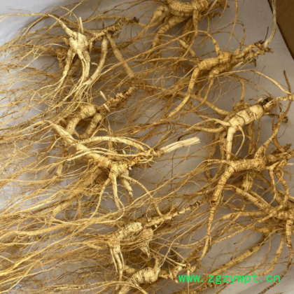 长白山人参 15年林下山参 干人参林下籽参图3