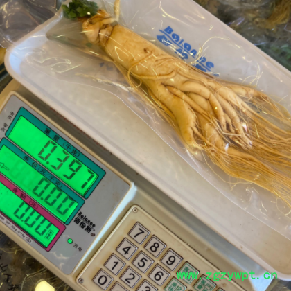 长白山人参 新鲜人参保鲜参特大毛重400克左右图3