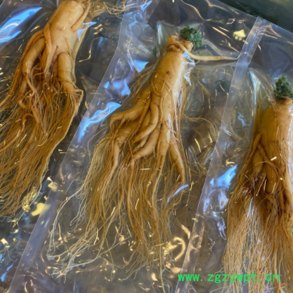 长白山人参 新鲜人参保鲜参特大毛重400克左右图2