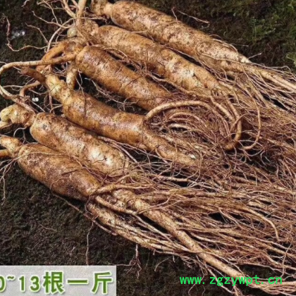 长白山人参新鲜人参一手货源批发 招代理一件代发图3