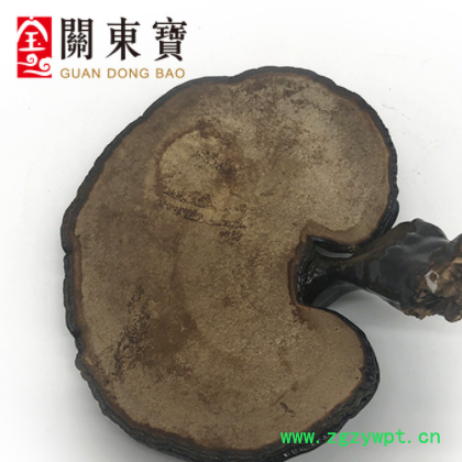 批发长白山深山黑灵芝 东北特产 整支灵芝500克/件 林芝切片一斤图2