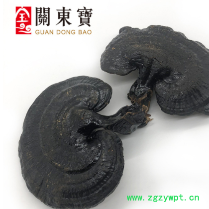 批发长白山深山黑灵芝 东北特产 整支灵芝500克/件 林芝切片一斤图3