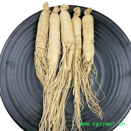 长白山人参 生晒参 全须白参 原皮参白参 20-25大枝头