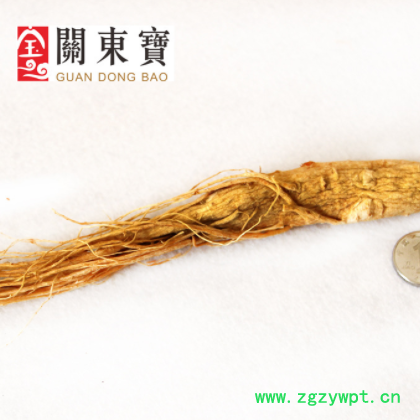 长白山人参 生晒参 全须白参 原皮参白参 20-25大枝头图2