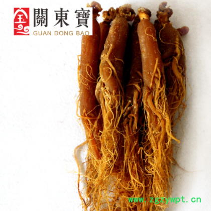 东北特产 长白山红参 红参打粉 6年根15-20枝头 大量批发