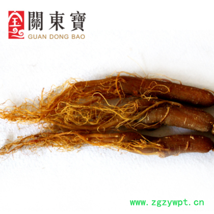 东北特产 长白山红参 红参打粉 6年根15-20枝头 大量批发图3