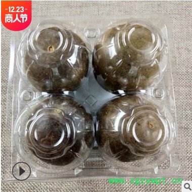 广西桂林罗汉果干果大中小批发中药材独立包装散装低温烘干脱水图2