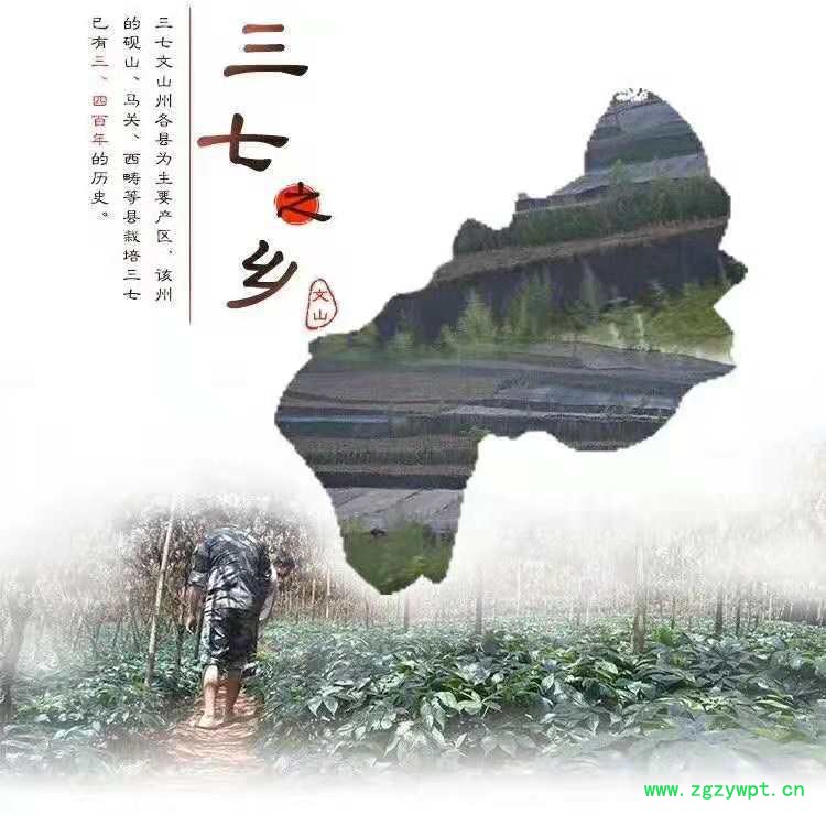 微信图片_201810070818134