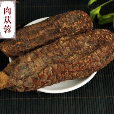 肉苁蓉大云大芸 肉苁蓉阿拉善肉丛蓉500克发