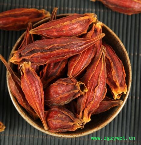 中药材新货栀子500克黄栀子枝子木丹栀子 磨粉