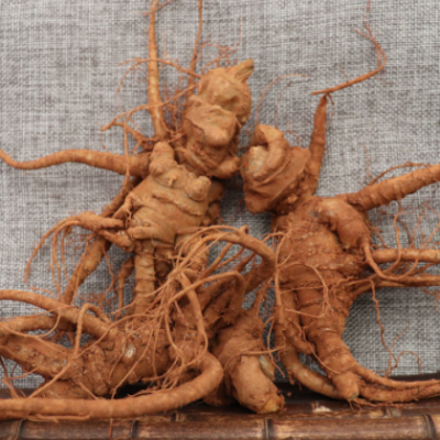 2020年云南文山新鲜三七500克包邮 新鲜三七泡酒 新鲜发货