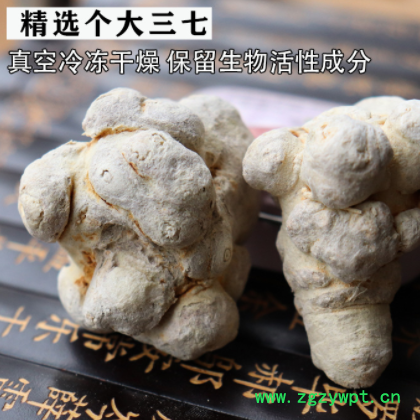 冻干三七 30头40头60头500克田七 云南文山三七头三七粉 三七片图2