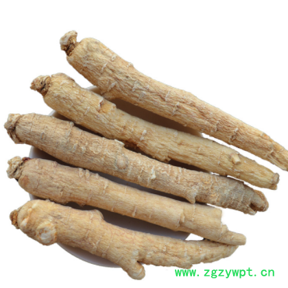 西洋参整枝【西洋参段500g】花旗参 长白山整枝西洋参切片图3
