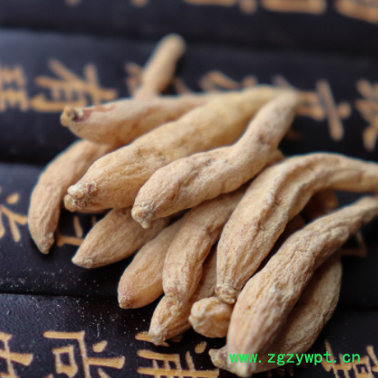 太子参 孩儿参 福建太子参整颗 500克中药材 泡水煲汤 麦冬无花果图2