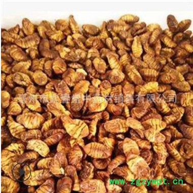 中药材 蚕蛹干 蚕蛹图2