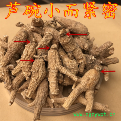 2克西洋参原丛，硬质 西洋参粒 西洋参片 花旗参 批发500克图2